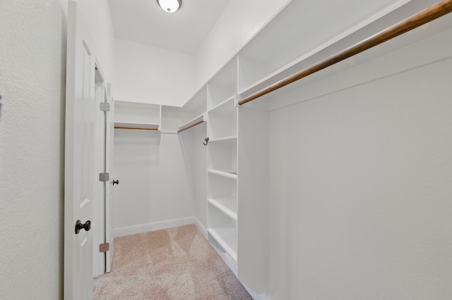 2304 Forest Hill Ln, Granbury, TX 76048 - walk in closet featuring carpet flooring