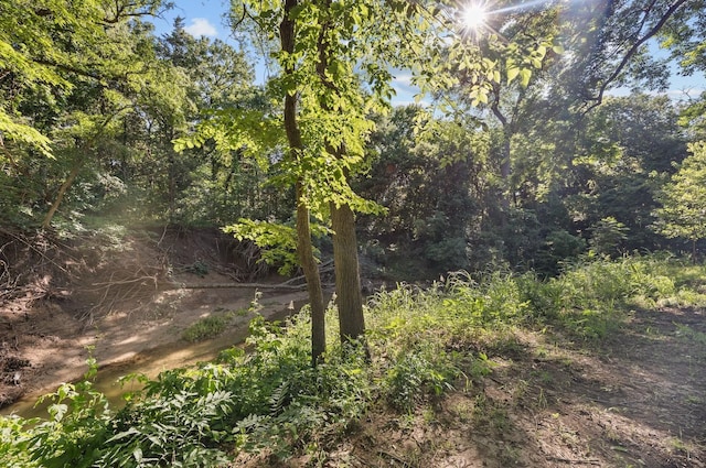 3280 Shady Grove Rd, Midlothian, TX 76065 - view of undeveloped land