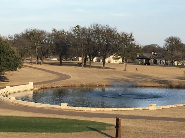 1289 Oak Grove Ct, Whitney, TX 76692