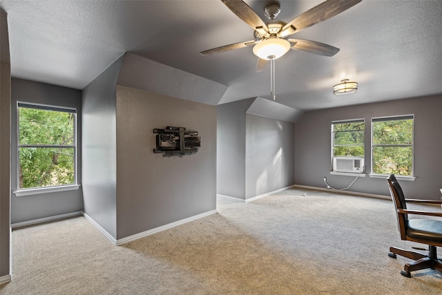 3206 Wintergreen Ter, Grapevine, TX 76051 - unfurnished office with carpet flooring, baseboards, a textured ceiling, healthy amount of natural light, and vaulted ceiling