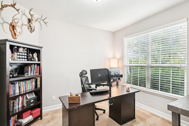 3613 Texas Dall Ct, Mckinney, TX 75071 - carpeted office space with baseboards