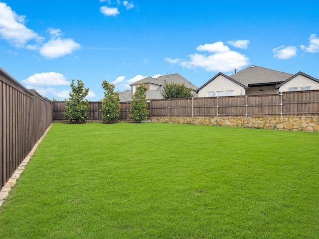 8620 Bandon Dunes Dr, Mckinney, TX 75070 - view of yard