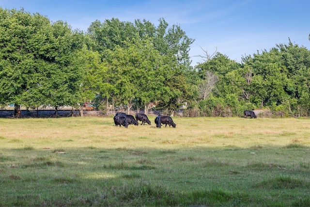 TBD W Clifton St, Pilot Point, TX 76258