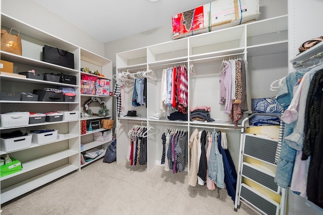 2608 Museum Way Unit 3417, Fort Worth, TX 76107 - spacious closet with carpet floors