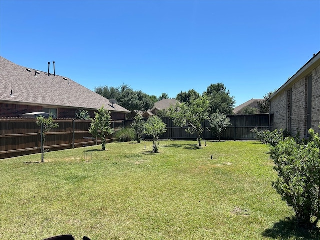 1102 Sunland Ct, Mansfield, TX 76063 - view of yard