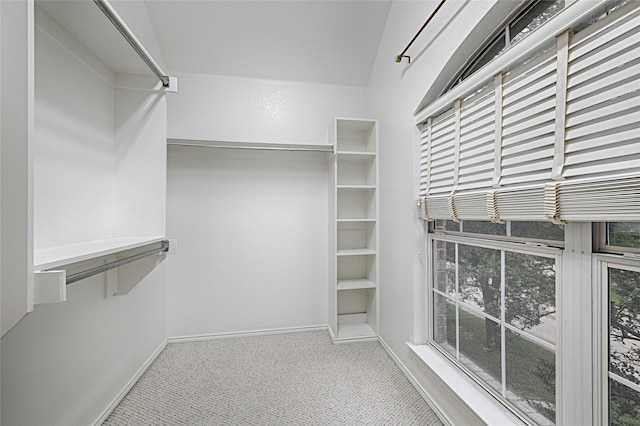 1503 Murphy Dr, Rockwall, TX 75087 - walk in closet featuring carpet