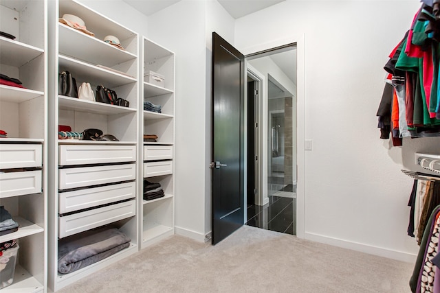 2468 Electra Dr, Allen, TX 75013 - walk in closet with carpet