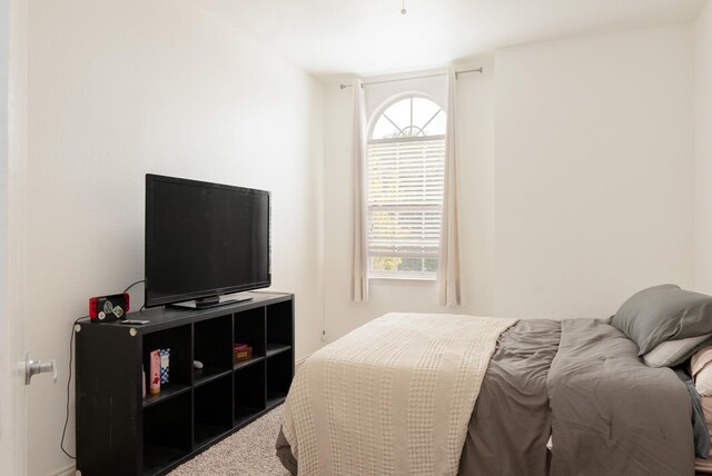 14221 Tijuana Trl, Fort Worth, TX 76052 - view of carpeted bedroom