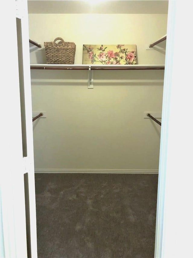 11711 Corsicana Dr, Frisco, TX 75035 - walk in closet with carpet