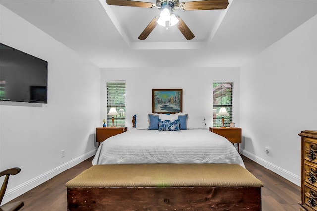 674 Milam Rd, Van Alstyne, TX 75495 - bedroom with a tray ceiling, multiple windows, dark wood-style floors, and baseboards