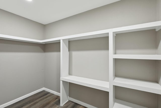 6405 Waynewood Ct, Fort Worth, TX 76135 - walk in closet with dark wood-style flooring