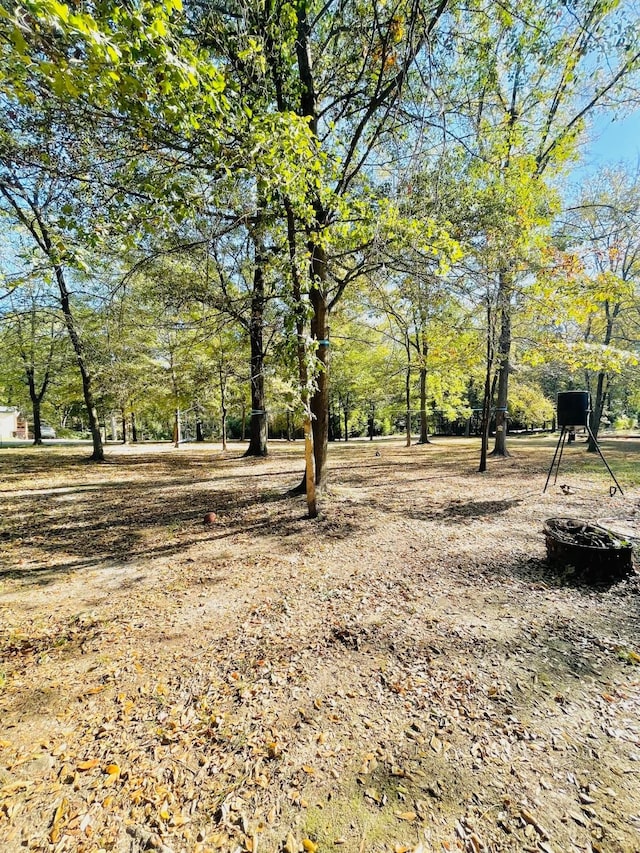 307 S King Lake Rd, Scroggins, TX 75480 - view of yard