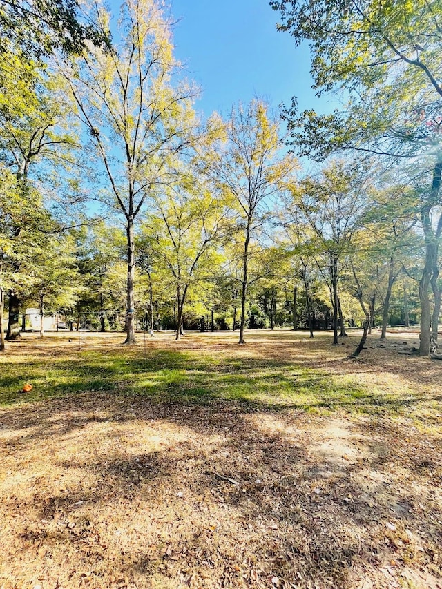307 S King Lake Rd, Scroggins, TX 75480 - view of yard