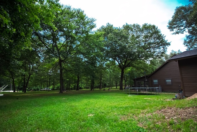 307 S King Lake Rd, Scroggins, TX 75480 - view of green lawn featuring a trampoline