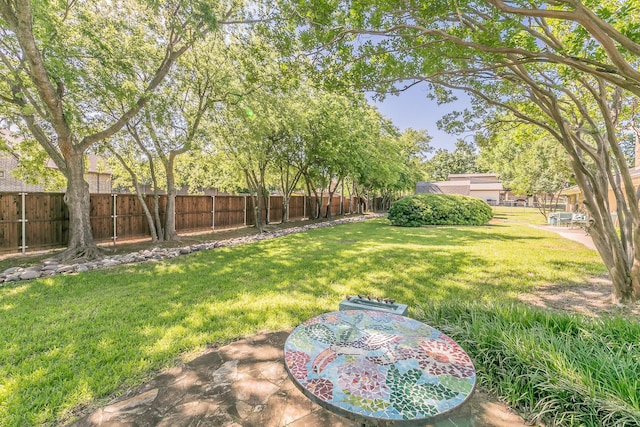 1233 Stegall Rd, Keller, TX 76248 - view of yard
