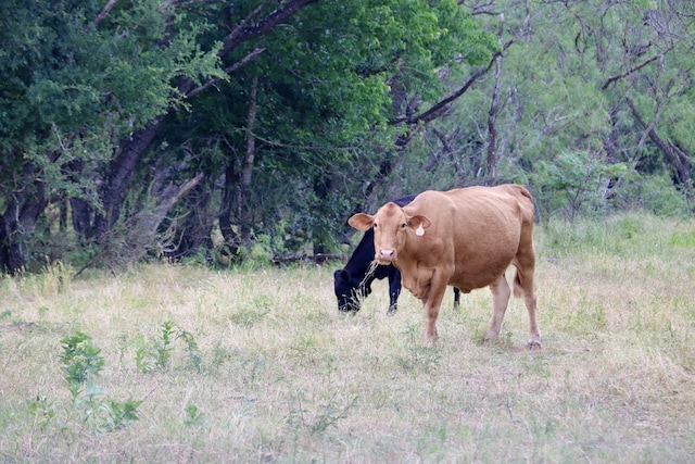 1965 Fm-933, Aquilla, TX 76622