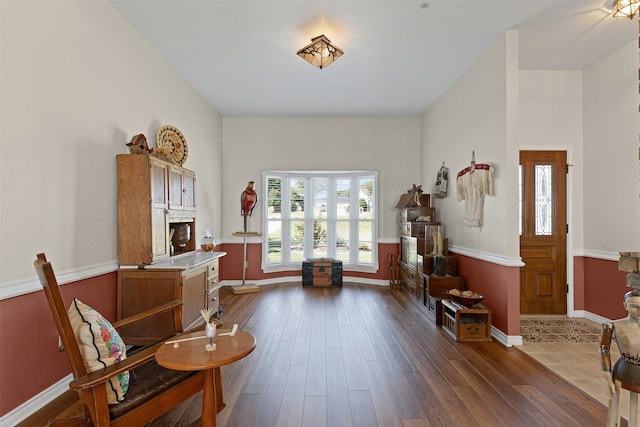711 Aqua Vista Dr, Granbury, TX 76049 - sitting room with dark wood-type flooring and a fireplace