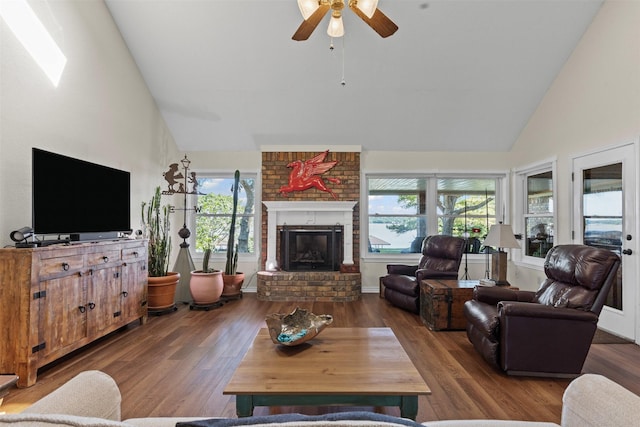 711 Aqua Vista Dr, Granbury, TX 76049 - living room featuring high vaulted ceiling, healthy amount of natural light, a fireplace, and wood finished floors