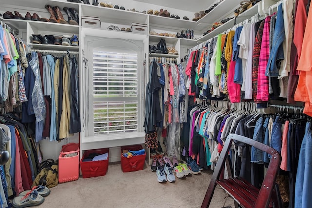 18551 Lazy Ln, Flint, TX 75762 - spacious closet with carpet floors