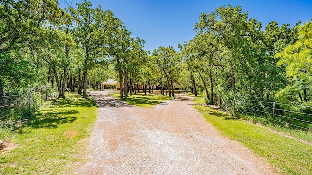 1851 Rock Church Hwy, Tolar, TX 76476 - view of dirt / gravel driveway