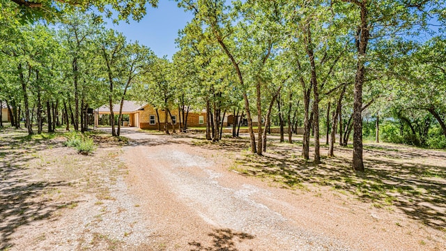 1851 Rock Church Hwy, Tolar, TX 76476 - view of dirt / gravel driveway