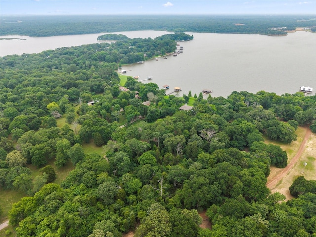 7016 Fm 3054, Malakoff, TX 75148 - drone / aerial view of a nearby body of water and a forest