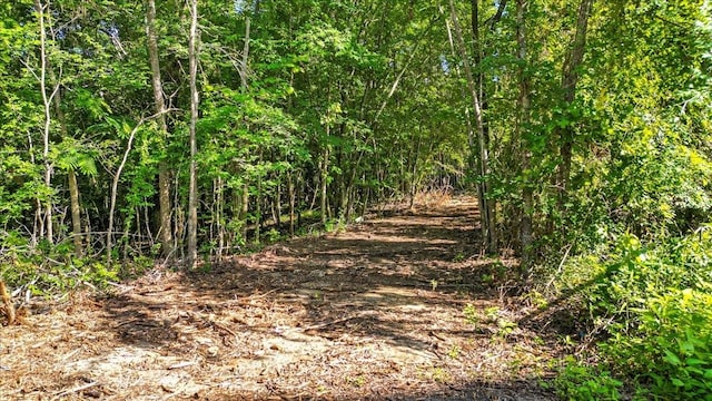 TBD Fm 14, Tyler, TX 75706