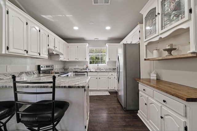 3966 Farm Road 196 N, Paris, TX 75462 - kitchen featuring stainless steel appliances, recessed lighting, a peninsula, under cabinet range hood, and white cabinets