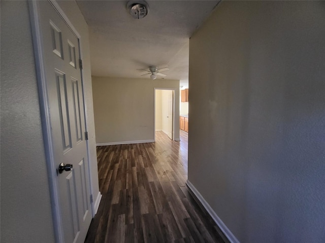 1906 N 4th St, Killeen, TX 76541 - hall with dark wood-type flooring and baseboards