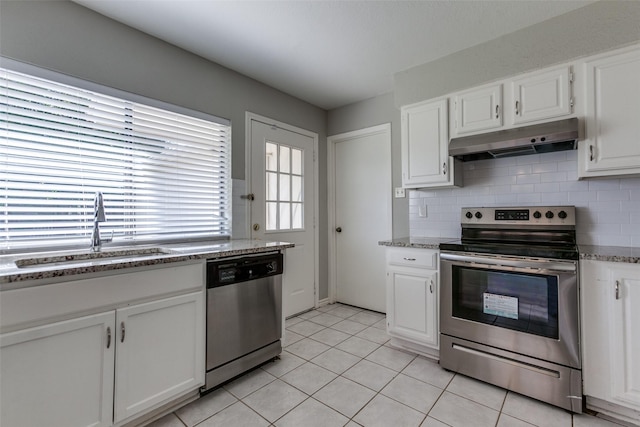 2513 Figtree Ln, Plano, TX 75074 - kitchen featuring stainless steel appliances, under cabinet range hood, a sink, and white cabinetry