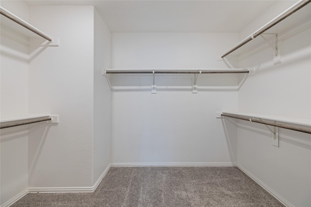 1008 Superbloom Ave, Justin, TX 76247 - walk in closet featuring carpet floors