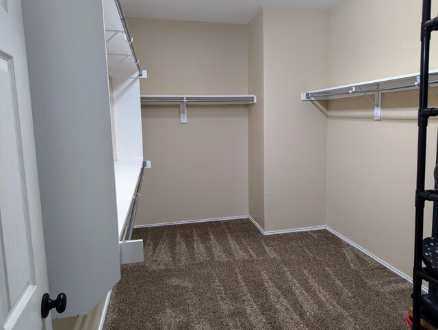 1275 Calistoga Dr, Rockwall, TX 75087 - walk in closet with carpet
