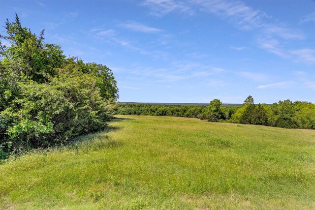 339 W Trinity St, Forney, TX 75126 - view of local wilderness with rural landscape