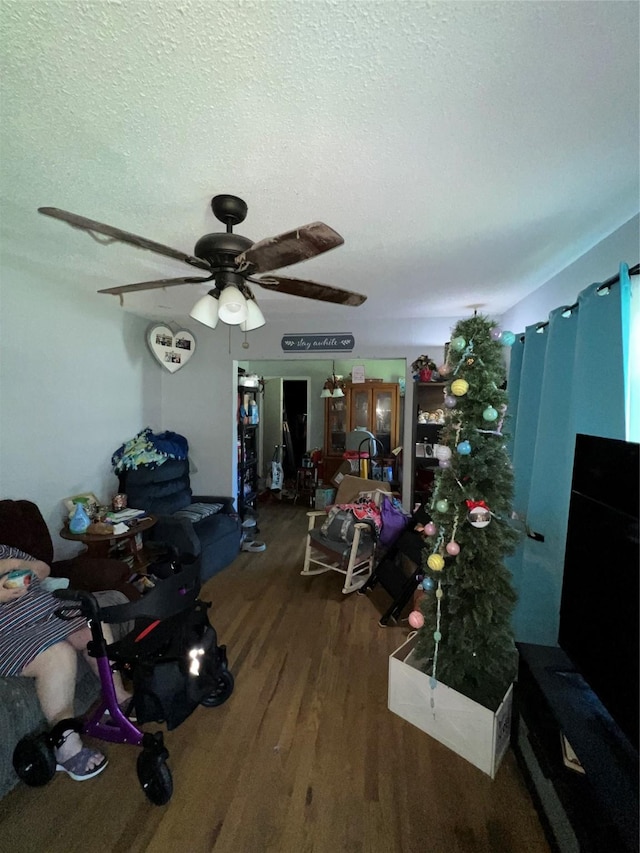 1005 Iowa St, Irving, TX 75060 - living area with wood finished floors, ceiling fan, and a textured ceiling