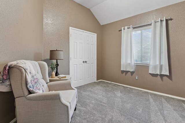 269 Love Bird Ln, Murphy, TX 75094 - sitting room featuring lofted ceiling, carpet floors, a textured wall, and baseboards