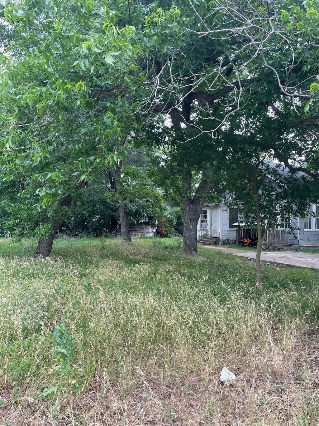 801 E Limestone Ave, Mart, TX 76664 - view of yard