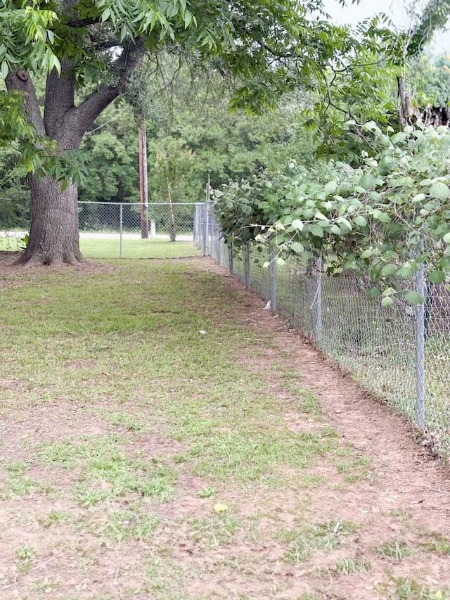 812 Walters St, Frankston, TX 75763 - view of yard