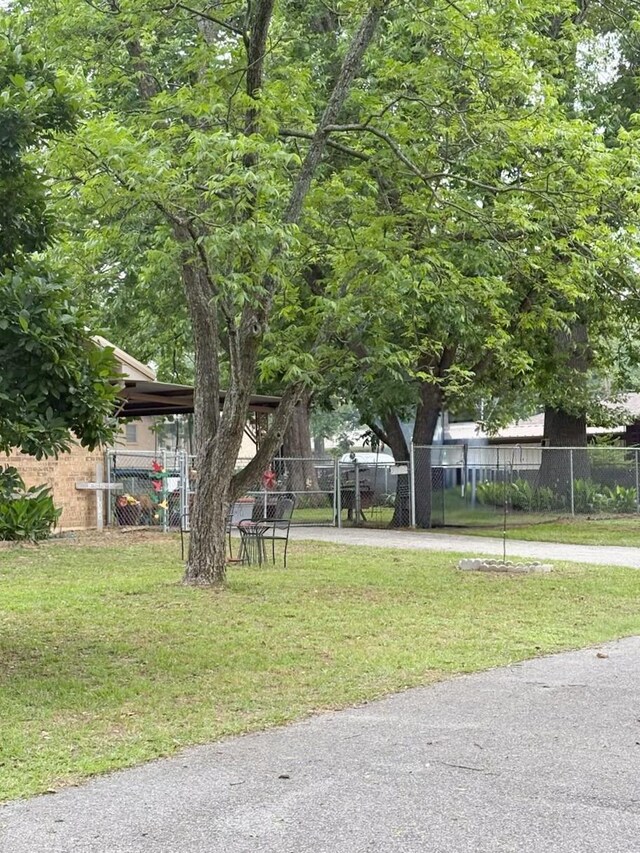 812 Walters St, Frankston, TX 75763 - view of yard