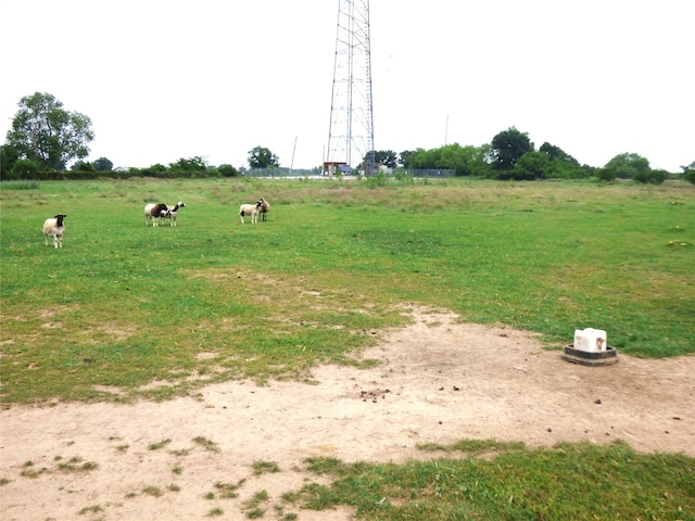1075 County Road 436, Eastland, TX 76448 - view of yard with a view of rural / pastoral area