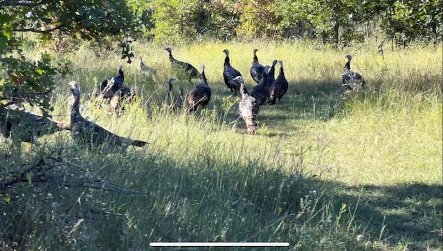 LOT1 Edgin Rd, Bowie, TX 76230
