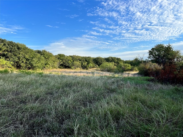 LOT1 Edgin Rd, Bowie, TX 76230