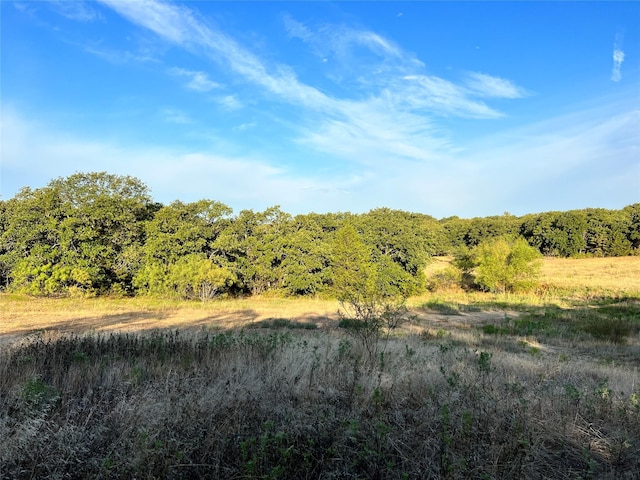 LOT1 Edgin Rd, Bowie, TX 76230
