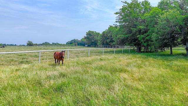 1665 Fm 2452, Corsicana, TX 75110 - view of yard featuring a view of countryside