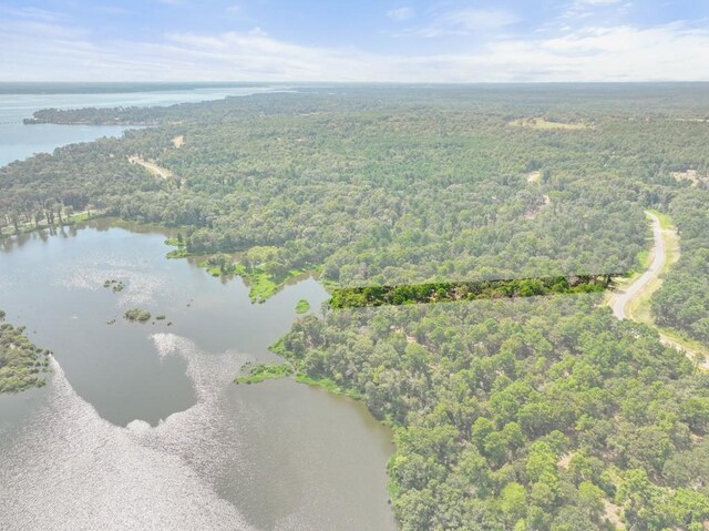TBD Shadow Pine Drive, Larue, TX 75770