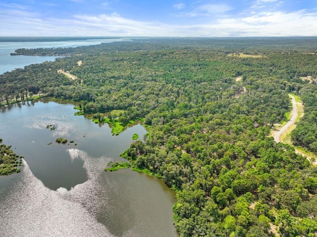 TBD Shadow Pine Drive, Larue, TX 75770