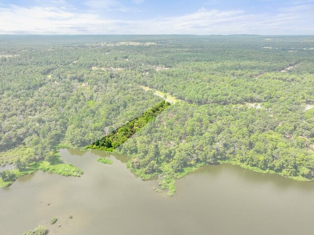 TBD Shadow Pine Drive, Larue, TX 75770