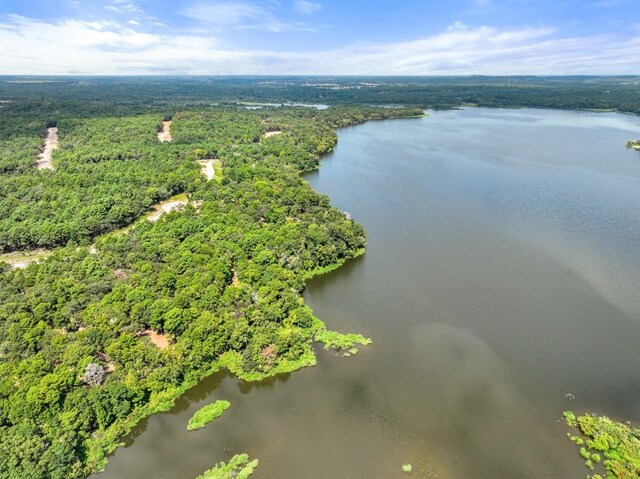 TBD Shadow Pine Drive, Larue, TX 75770