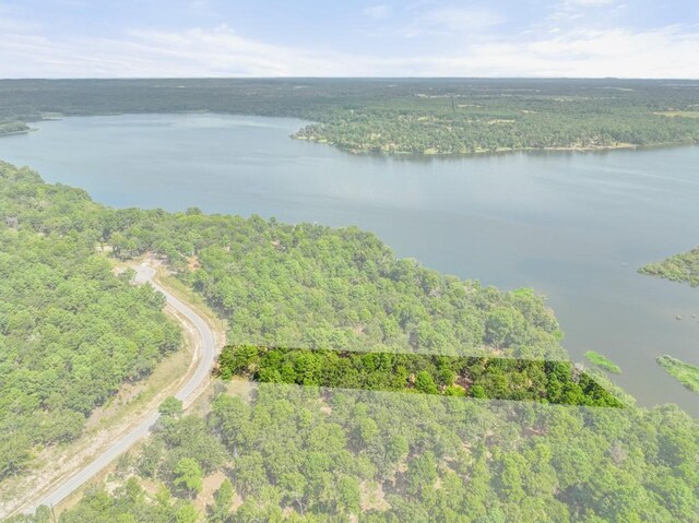 TBD Shadow Pine Drive, Larue, TX 75770
