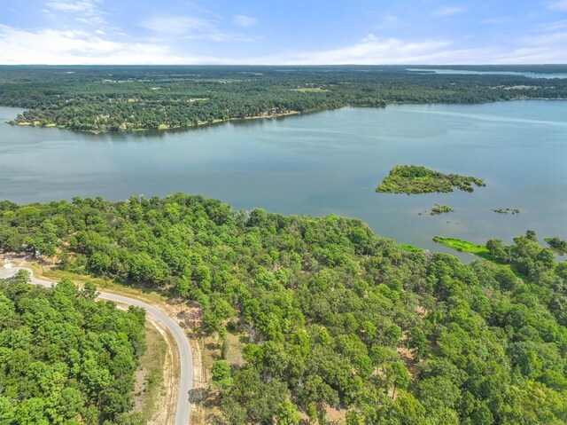 TBD Shadow Pine Drive, Larue, TX 75770