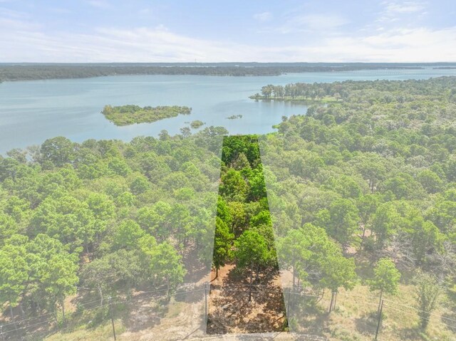 TBD Shadow Pine Drive, Larue, TX 75770